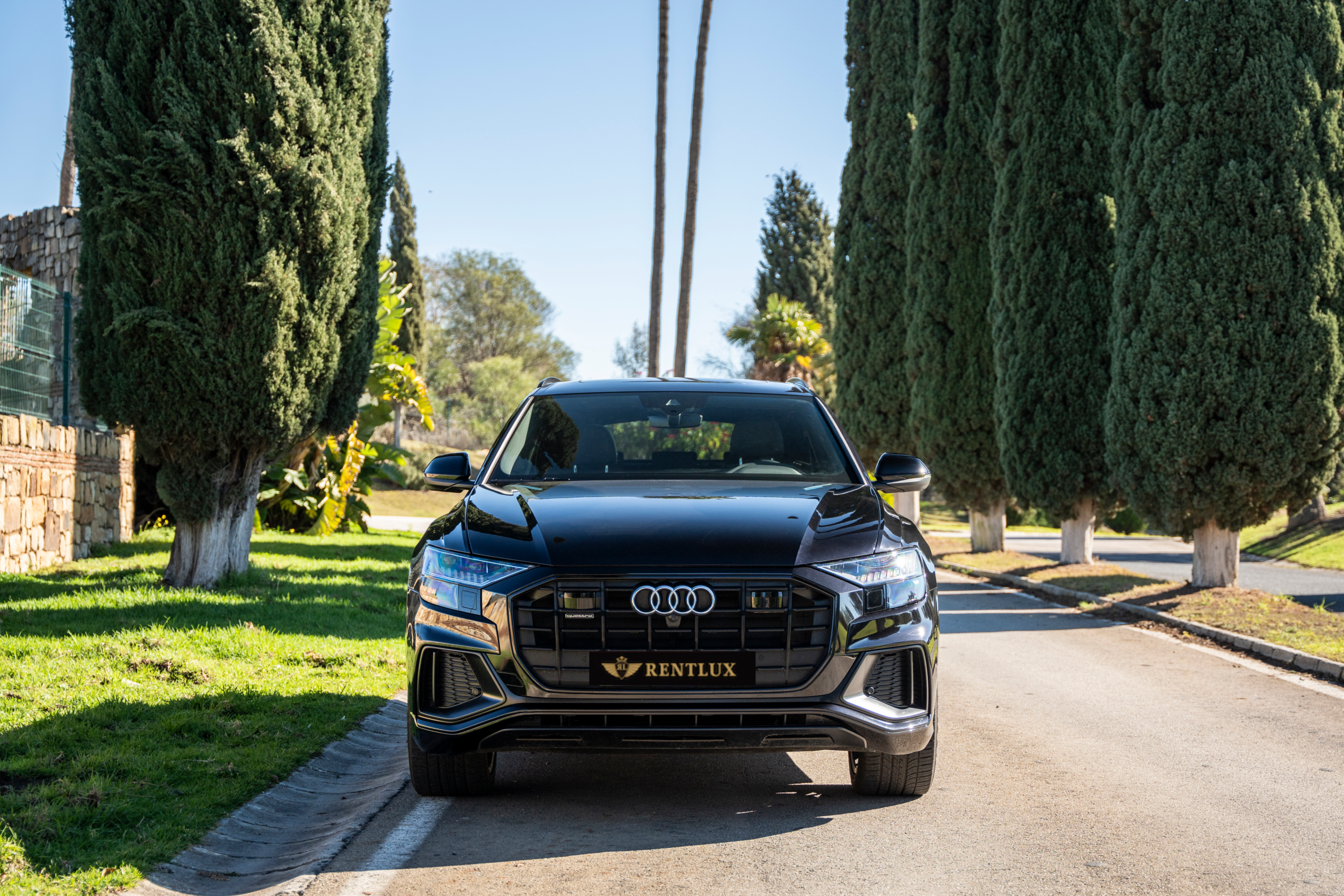 interior audi q8 s line